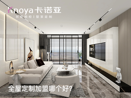 卡諾亞和索菲亞哪個(gè)好？