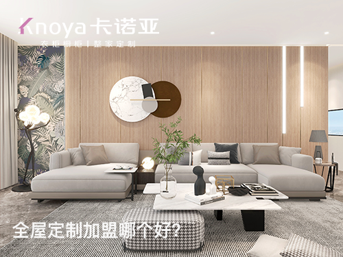 2023年河北全屋定制加盟選什么品牌好？